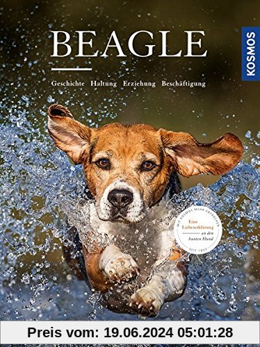 Beagle: Geschichte, Haltung, Erziehung, Beschäftigung